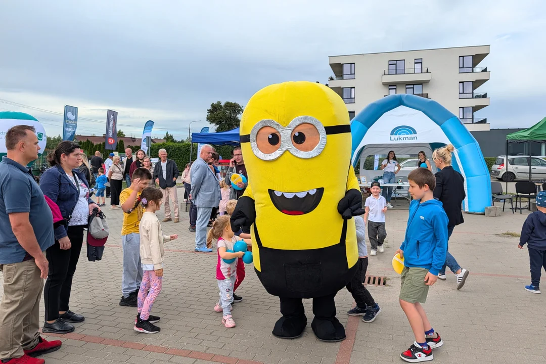 Łuków połączył siły dla Dawida podczas Festiwalu Dobrych Połączeń - Zdjęcie główne